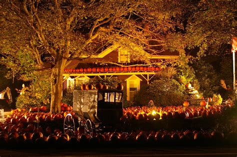 Halloween – Ein blutrünstiger Trip durch den Herbst!